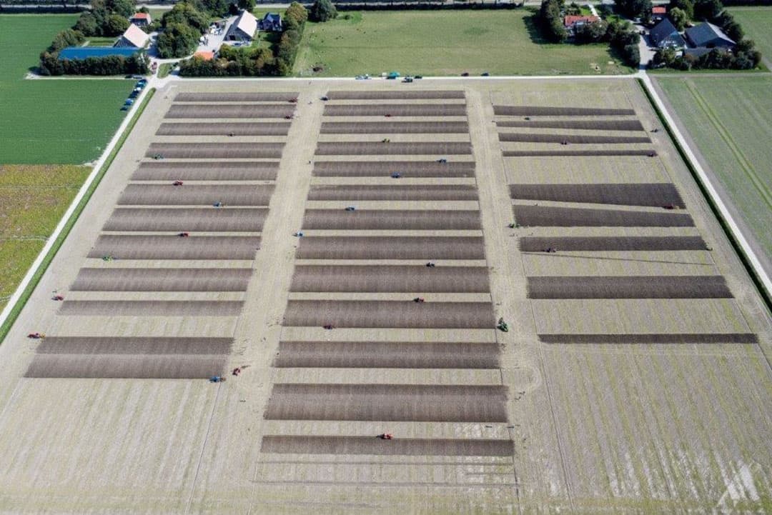 De Massey Ferguson 65 was vroeger best een grote trekker en met deze tweeschaar rondgaande ploeg dus een makkie, ook onder minder goede omstandigheden.