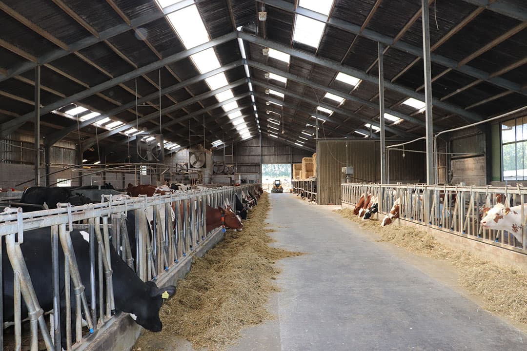 De vraagprijs voor het object op 1,5 hectare ondergrond is ¬  1,3 miljoen. Meer informatie bij Adriaan van den Heuvel makelaars en adviseurs, Helmond.