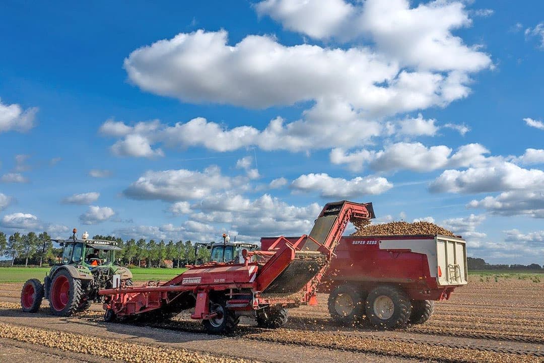 De uien komen mooi binnen. Totaal kan op deze locatie 1.200 ton uien los gestort opgeslagen worden. Op een ander adres van Smits gaan rode uien in kisten in de bewaring.