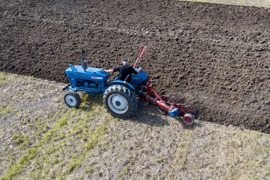 De Ferguson MF 35 trekt rustig zijn rondjes. De grond valt heel mooi om te ploegen.