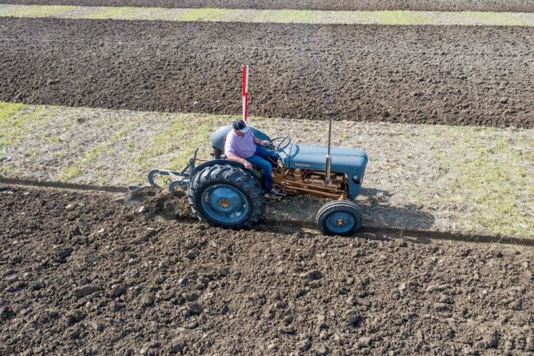 Een David Brown uit de jaren vijftig. Heel sierlijk om te zien en hij heeft er ook geen moeite mee om vlak ploegwerk te realiseren. De ploeg is vanaf de trekker af te stellen.