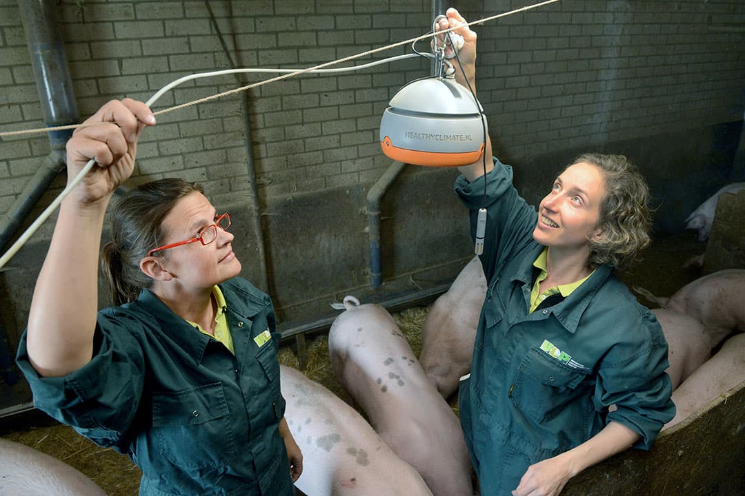 Foto: Ulco Wesselink
