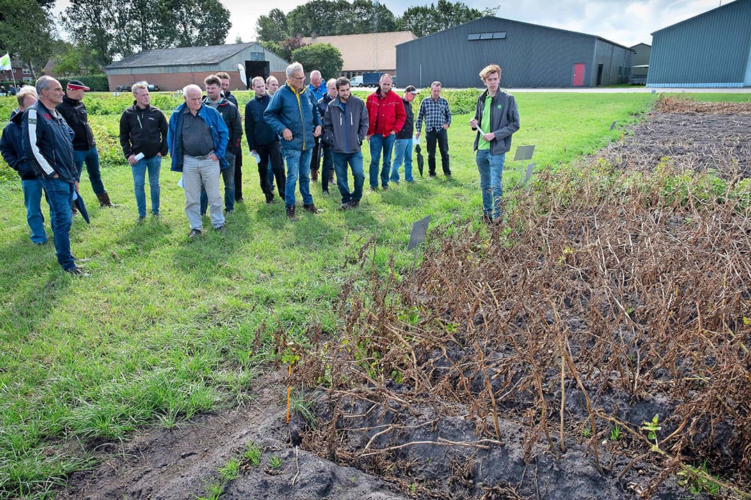 Foto: Jan Willem van Vliet