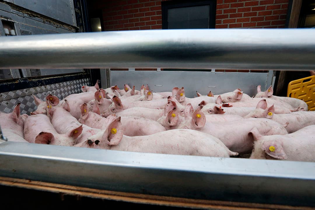 Foto: Bert Jansen