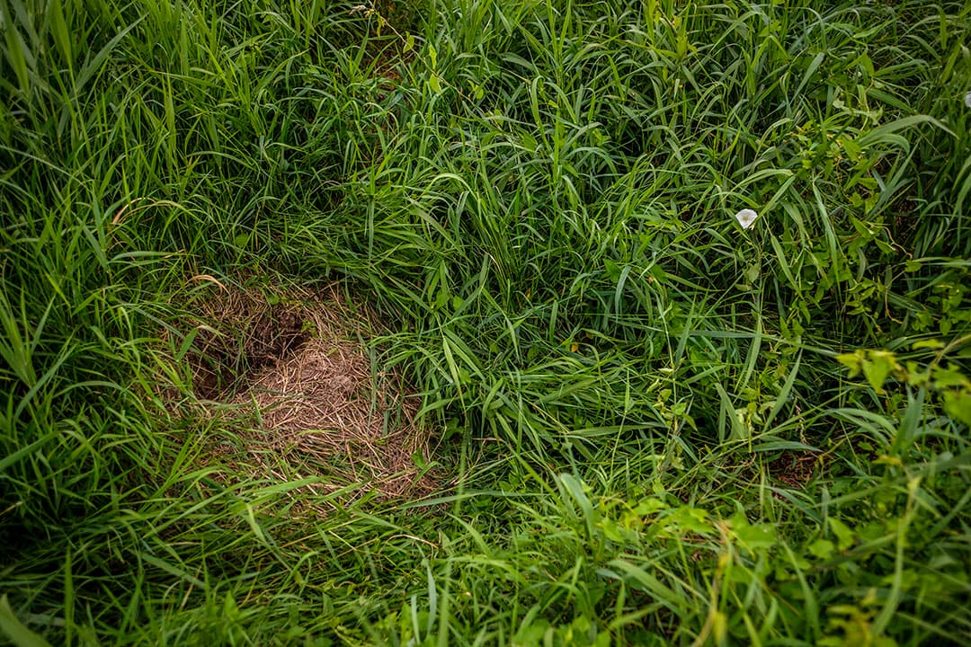 Foto: Roel Dijkstra