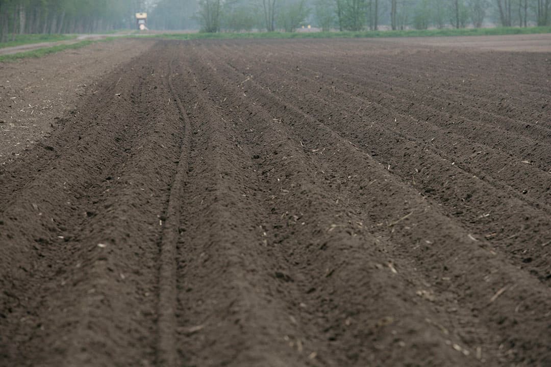 Foto: Jan Willem Schouten