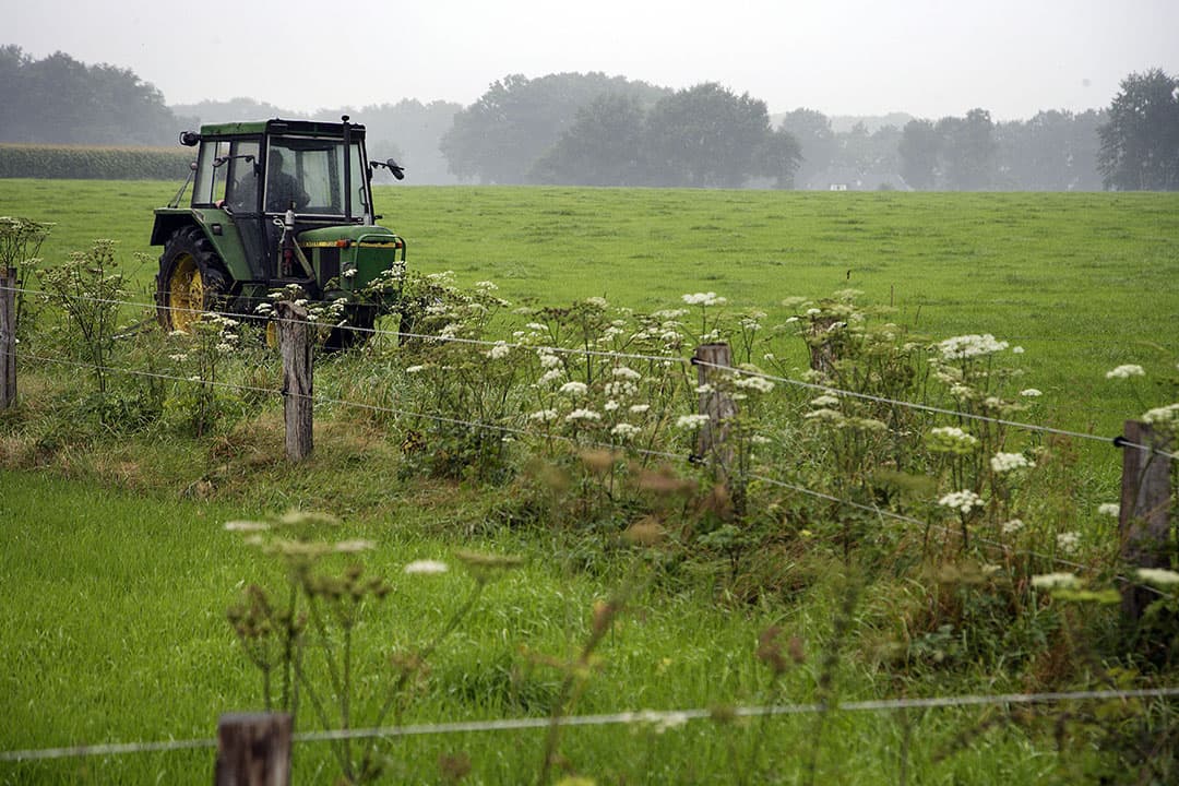 Foto: Hans Prinsen