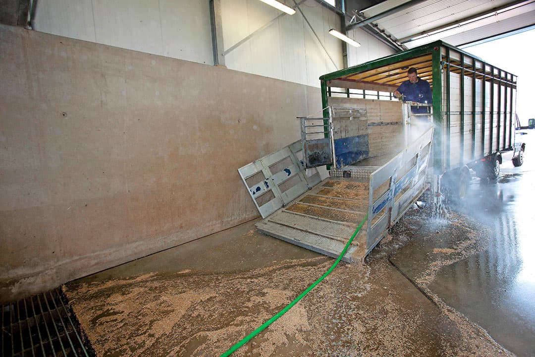 Foto: Jan Willem van Vliet