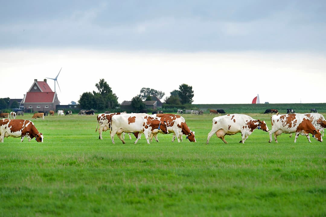 Foto: Cor Salverius Fotografie
