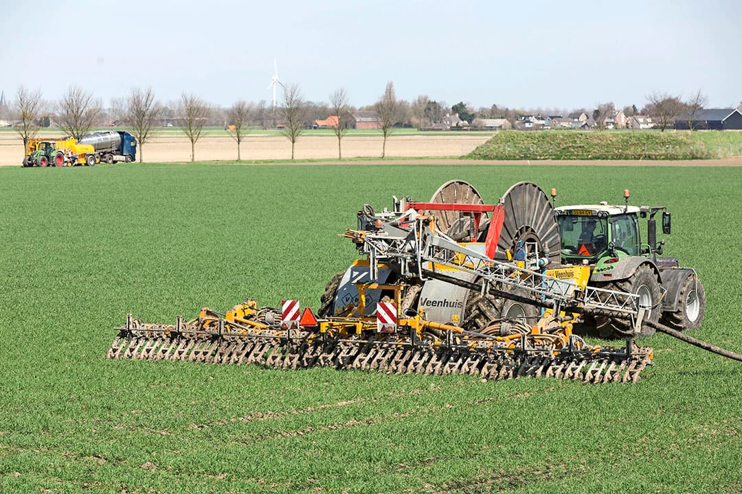 Mest uitrijden op wintertwarwe.