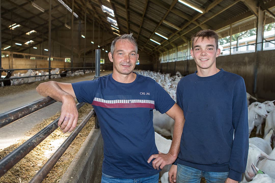 Van Bakel is tevreden over sorghum in het geitenrantsoen. De eiwit- en vetgehaltes in de melk zijn gestegen, het celgetal is gedaald en zijn geiten zijn beter in conditie.