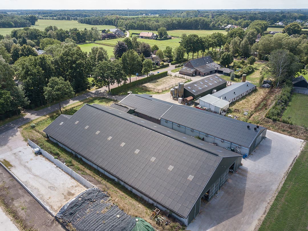 De sorghum van afgelopen seizoen (uit de ronde balen) wordt met een kruiwagen handmatig voor het voerhek van de geiten gebracht.
