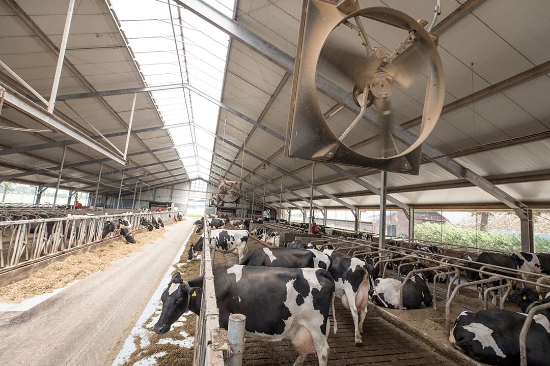 De geproduceerde VLOG-melk wordt opgehaald door A-ware.