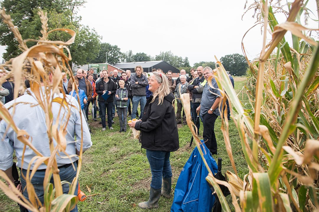Rijenbemesting past van Geresteijn bij een aantal klanten nu al voor het vierde jaar toe. Dat is bemesten in geploegd land, apart van het zaaien. Om met hetzelfde werktuig zowel volvelds- als rijenbemesting toe te kunnen passen, zijn de balken van de bouwlandinjecteur hydraulisch verschuifbaar gemaakt.