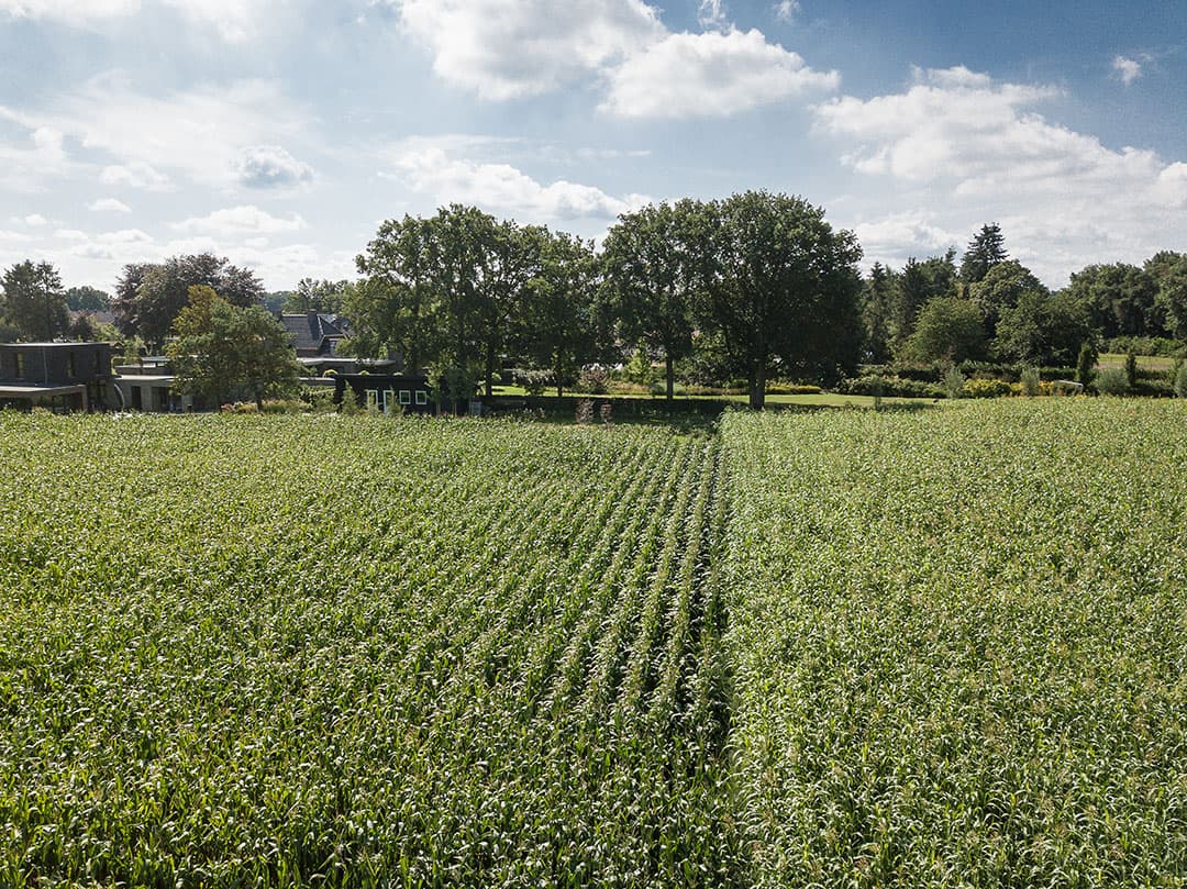 Van Bakel neemt deel aan een netwerk van sorghumtelers in Noord-Brabant. Hij is de enige geitenhouder, naast 4 melkveehouders, 1 loonwerker, 2 veredelaars, 2 teeltadviseurs en vertegenwoordigers van provincie Noord-Brabant en het Louis Bolk Instituut.