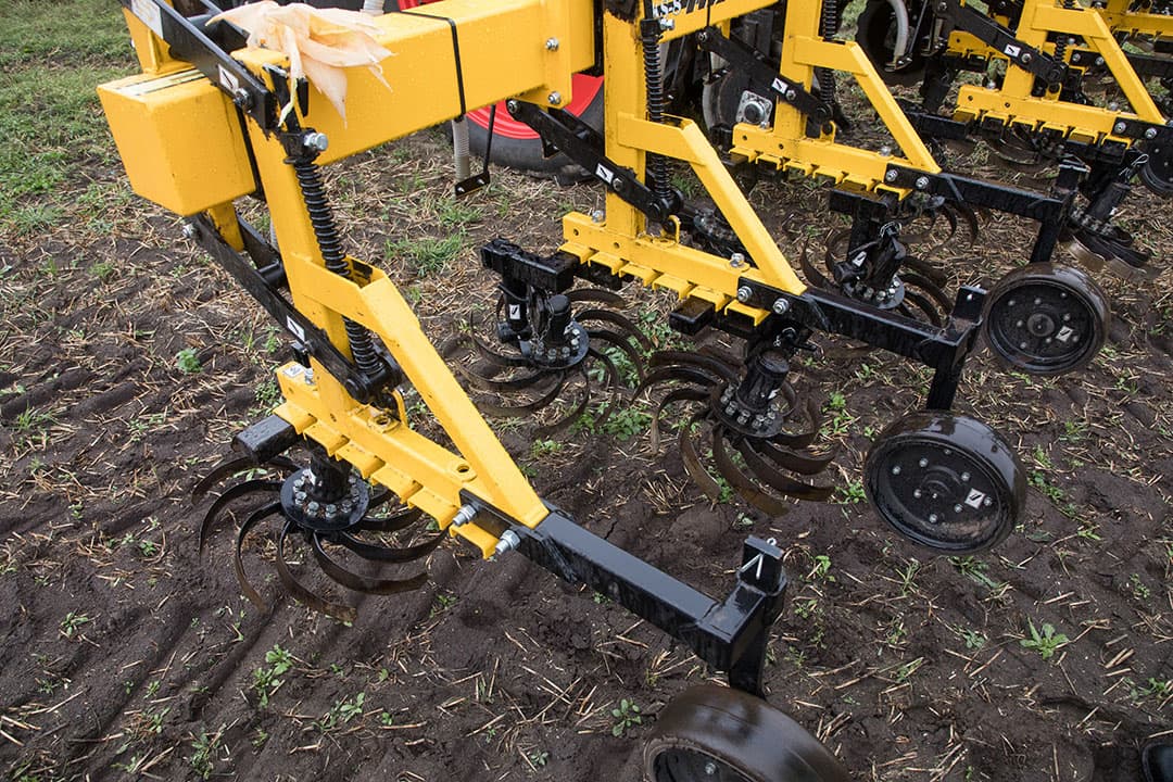 Het gaat echter vooral over de mais. De demoveldjes zijn op 4 mei gezaaid en bemest met 40 kuub rundveemest. Er is niet beregend, maar ondanks de droogte stond de mais er goed op. Hoewel het ook in Kootwijkerbroek droog en erg warm is geweest, viel er toch af en toe nog net op tijd wat regen.