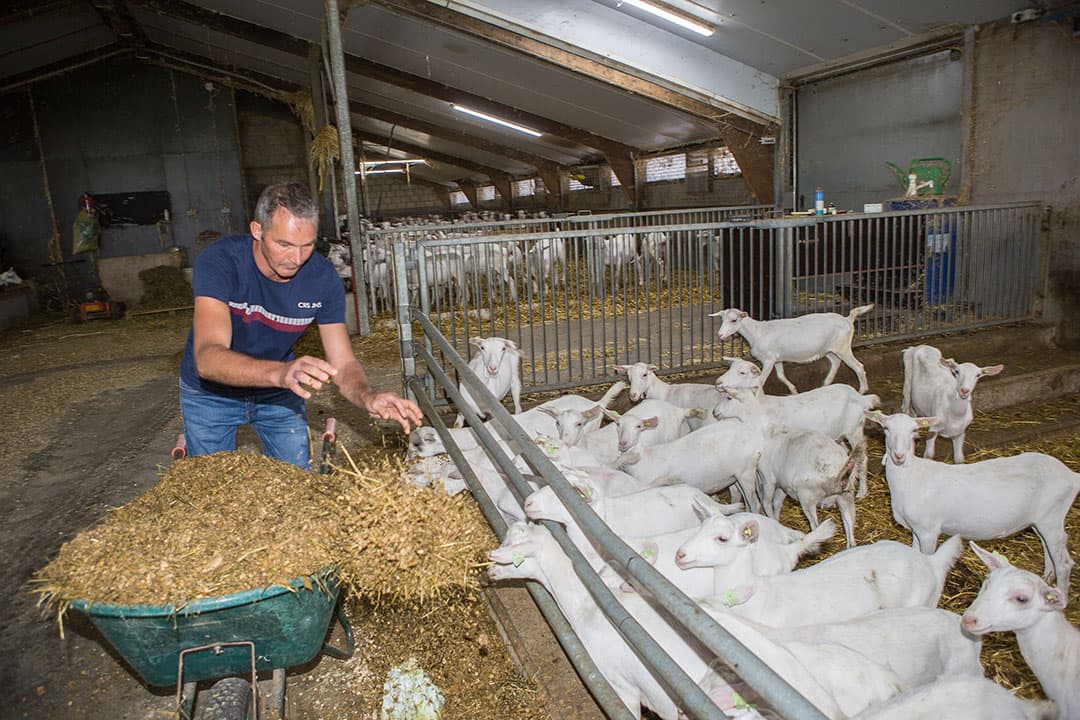 Foto: Peter Roek