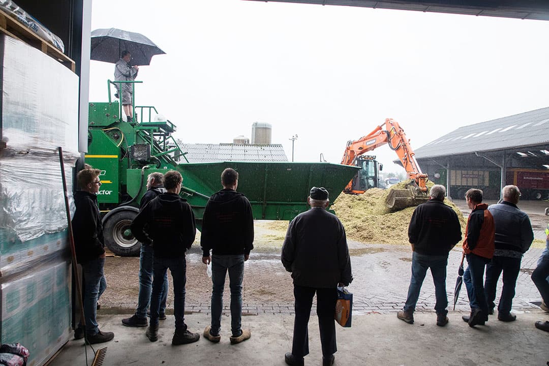Hier wat meer overzicht op het proefveldje Ambient. Links van de sjalonstok is volveldsbemesting met drijfmest toegepast, rechts is rijenbemesting toegepast. Een verschil in kleur en lengte van het gewas is goed te zien. Rijenbemesting lijkt de mais goed te doen en Van Geresteijn meldt dat tijdens de extreme droogte Ambient met volveldsbemesting ook eerder krullerig in het blad ging staan.