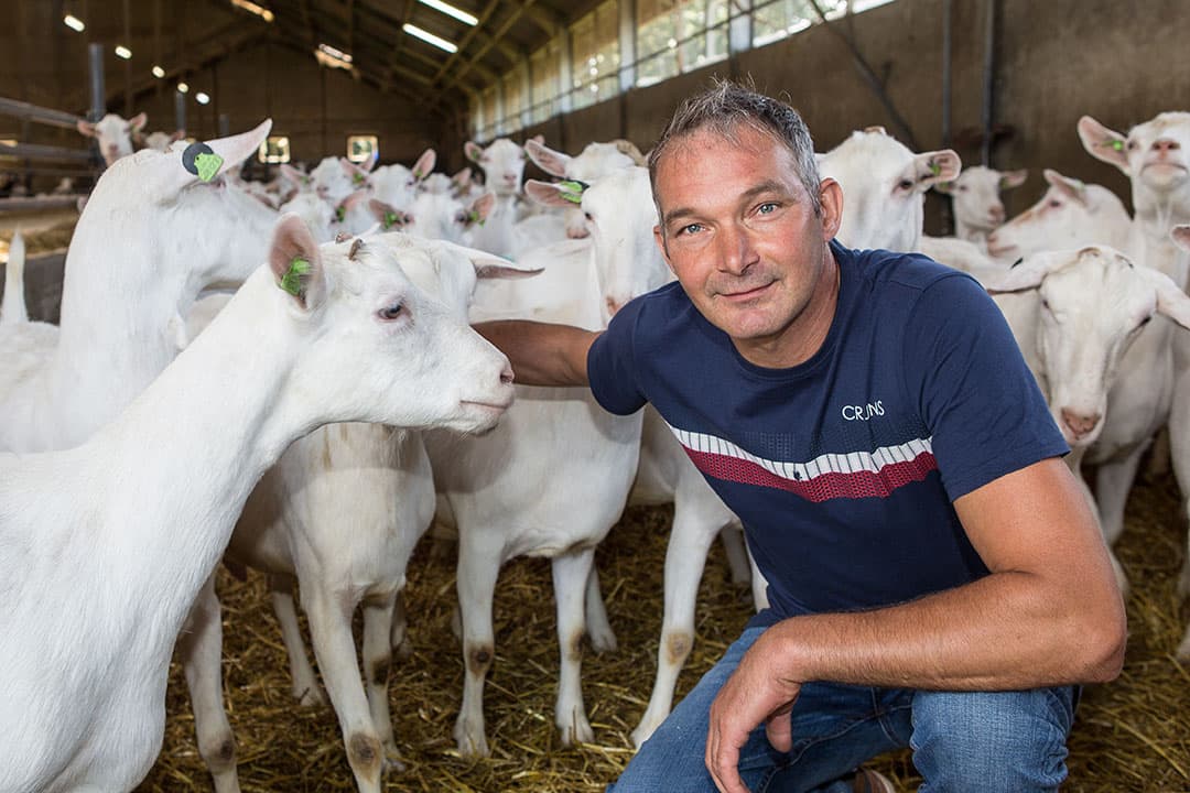 Geitenhouderij VOF Van Bakel melkt sinds 1999 melkgeiten. Tom van Bakel (48) doet dat samen met zijn vrouw Heidi (47) en zoon Thomas (20). - Foto's: Peter Roek