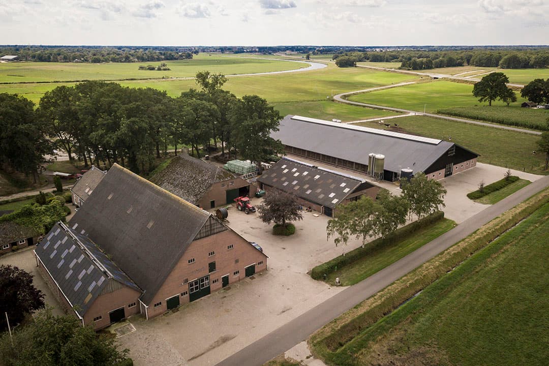 De ventilatoren in de nieuwe stal zorgen voor verkoeling tijdens warme dagen.