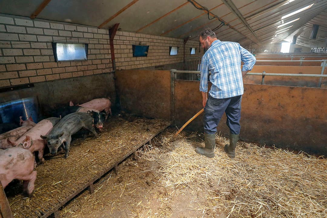 Foto: Bert Jansen