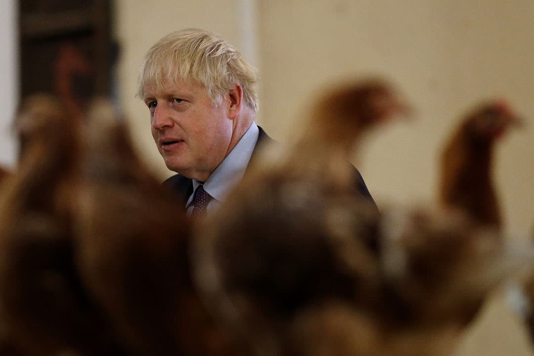 2019-07-30 15:24:43 Britain's Prime Minister Boris Johnson inspects the poultry during his visit to rally support for his farming plans post-Brexit, at Shervington Farm, St Brides Wentlooge near Newport, south Wales on July 30, 2019. Adrian DENNIS / AFP / POOL