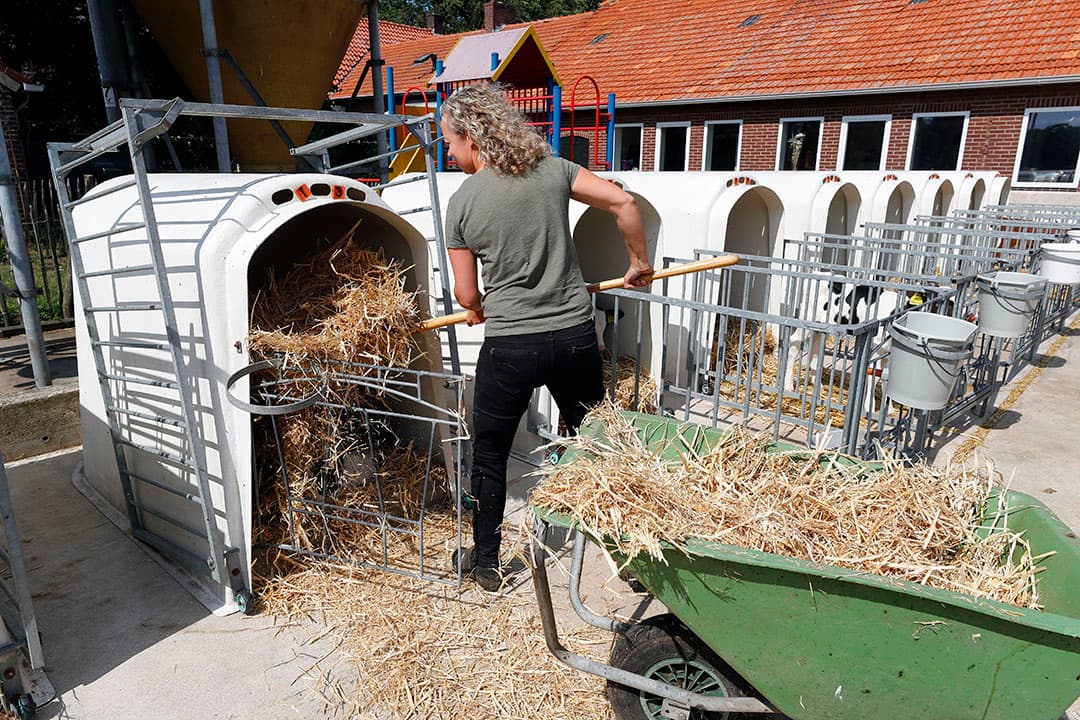 Foto: Bert Jansen