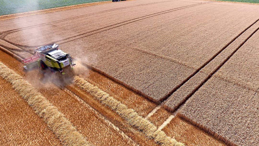 Jongeneels kritiek:  Omdat alleen koopkracht sturend is, werkt de markt niet rechtvaardig. Mensen die geen geld hebben, tellen niet mee." - Foto: Henk Riswick