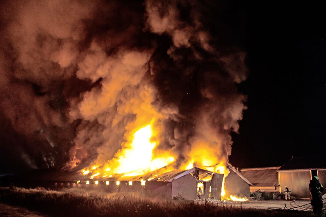 De brand brak in de nacht van woensdag op donderdag uit. De duizenden kippen waren niet meer te redden.