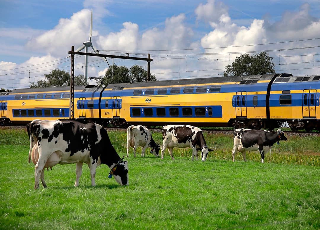 Foto: Ruud Ploeg