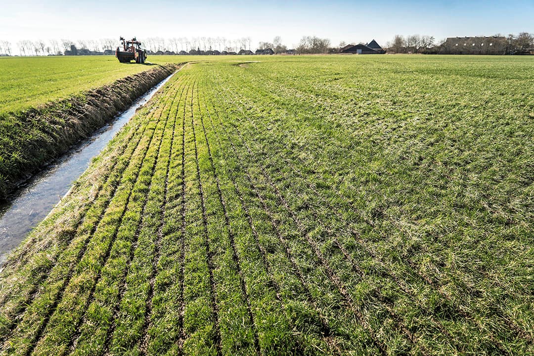 Foto: Koos Groenewold