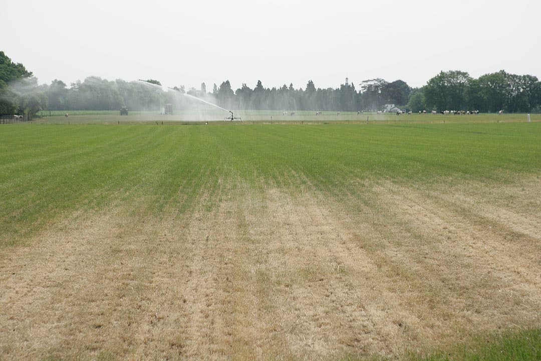 Foto: Jan Willem Schouten