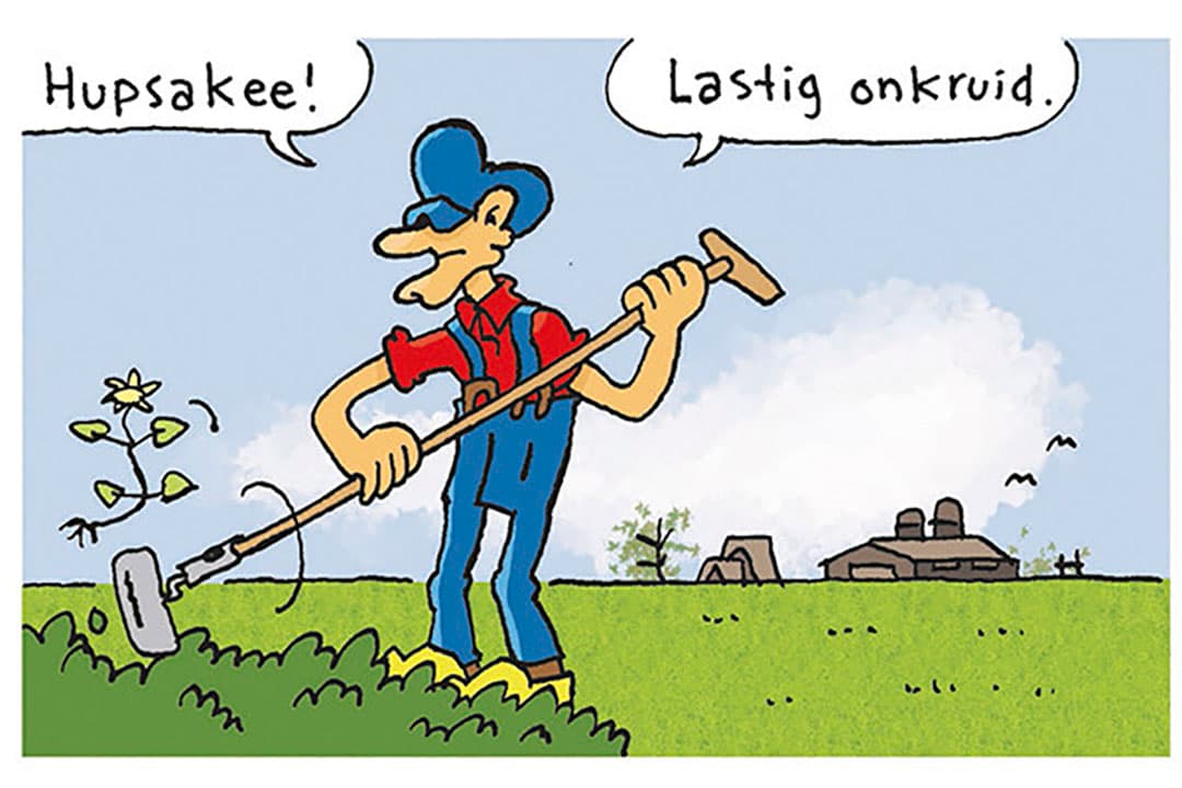 Tekst en tekeningen: Herman Roozen 