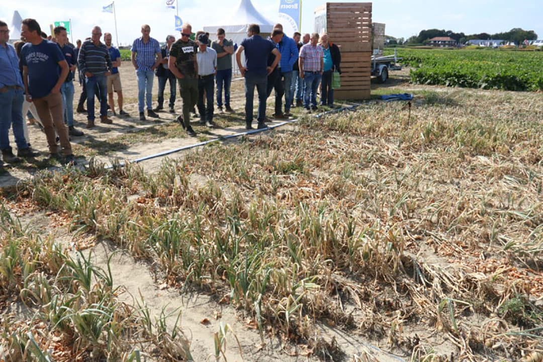 Precisielandbouw en scantechniek gaan hand in hand en er waren uiteraard ook op dit gebied enkele voorbeelden te zien. Op deze foto de meetsensoren van de Veris-bodemscanner. De 2 zwarte pijpjes links meten de pH. In het kouter zit de sensor voor de organische stof en de stroom die door de grond van schijf naar schijf loopt geeft onder andere aan waar de grond lichter of zwaarder is. Dat kan met name voor het toepassen van bodemherbiciden bij uien van belang zijn. Op lichtere grond is vaak een lagere dosering voldoende en dan is er minder kans op schade aan de uien.