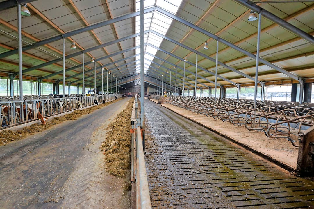 Zelf merkt Bakker het ook. Het stalklimaat is fris, je ruikt bijna geen ammoniak. Het stalklimaat is het grootste pluspunt in de stal. Bakker noemt het mixen van de mestkelders als voorbeeld. Dat kan hij op elk moment van de dag doen. Voor de koeien maakt het niet uit. Je ruikt bijna niets.