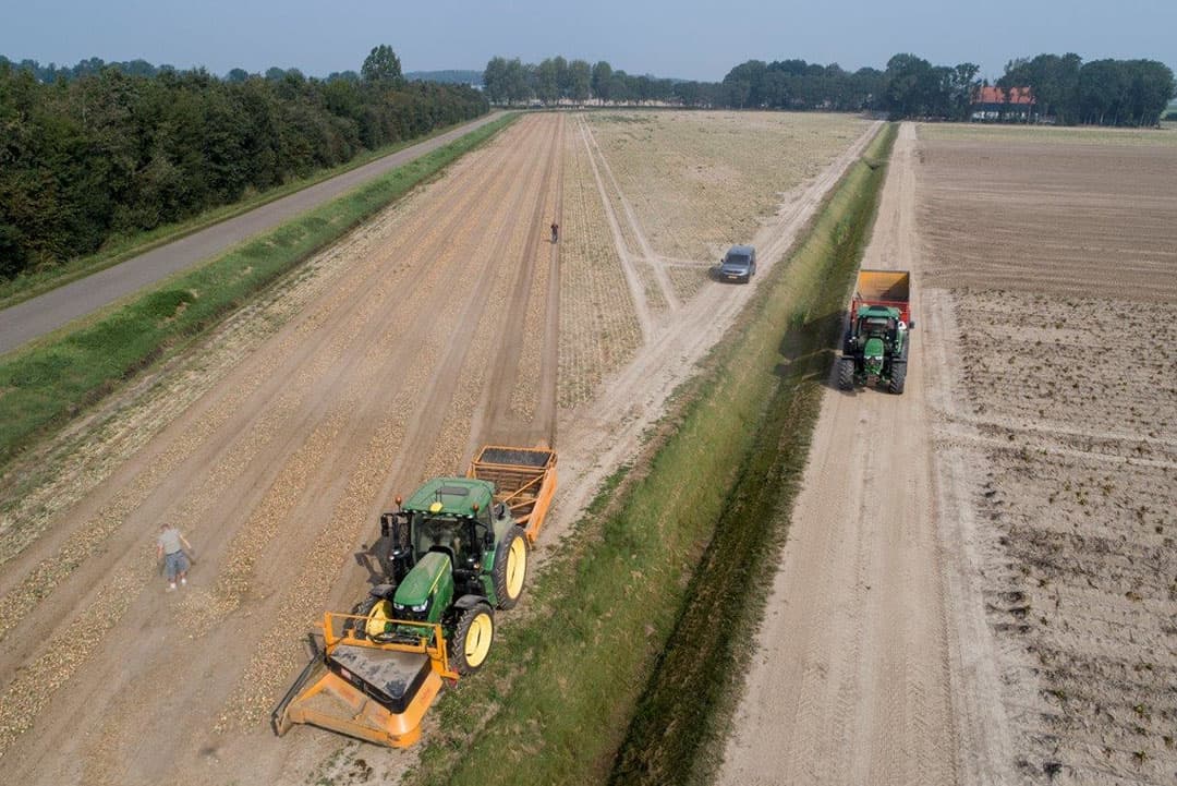 Hier en daar zit nog wel groen aan de uien en dat moet eerst maar weg zijn aldus Bonnema. Op het land drogen ze nu harder dan in de schuur.