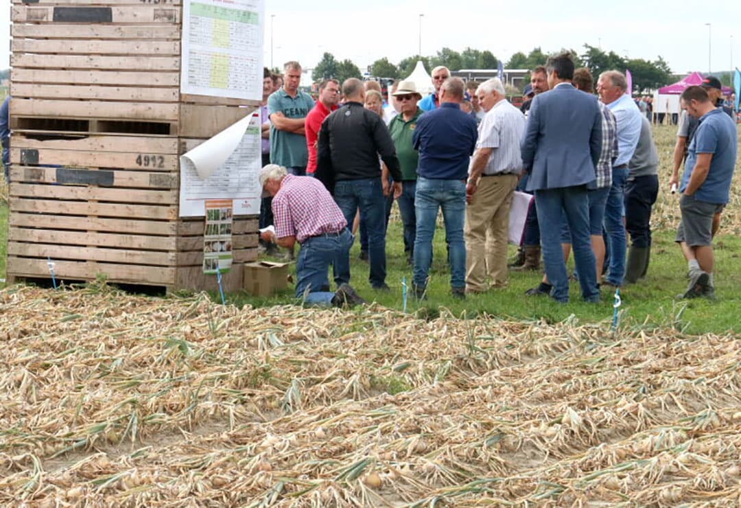 Een belangrijk onderdeel is de zoetwatervoorziening. AIKC Rusthoeve beschikt sinds dit jaar over een sproeiboom om proeven en demo's te kunnen beregenen. Daarnaast liggen er proeven met peilgestuurde drainage en druppelirrigatie. Bij die laatste proef krijgt hier een groep bezoekers informatie over de installatie en het resultaat.