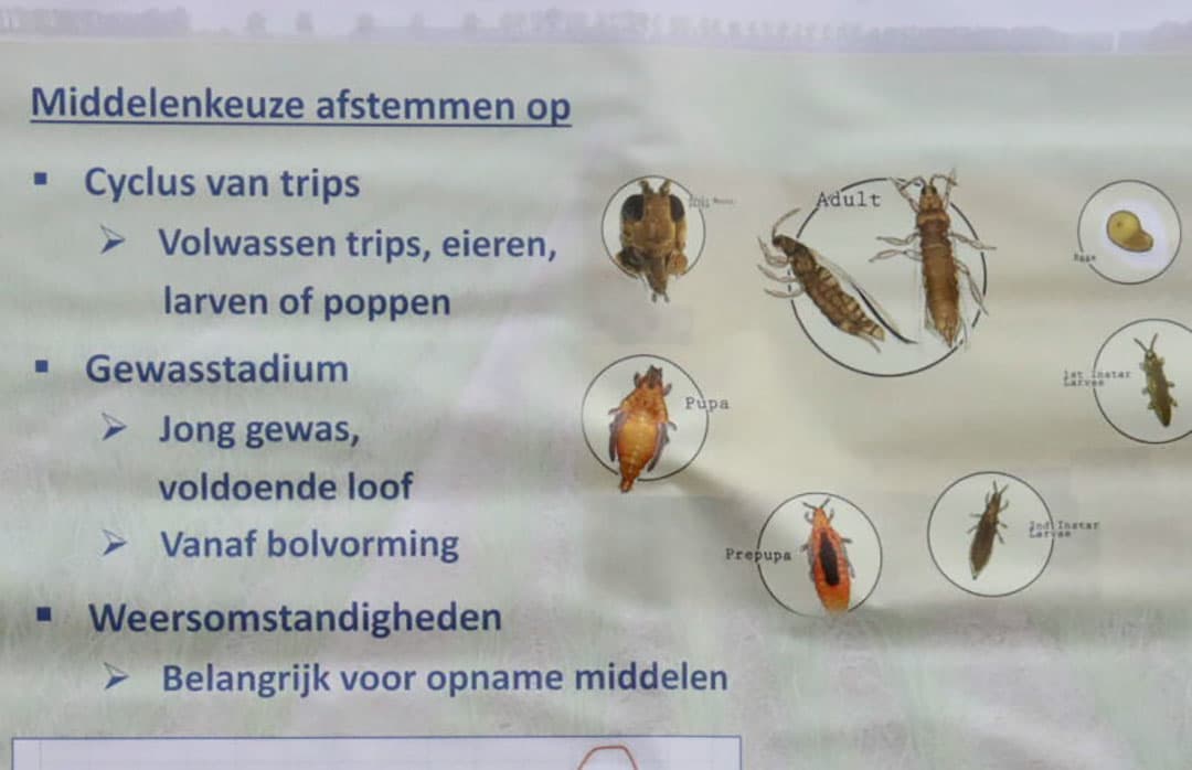 Een bezoeker neemt gegevens over om die in zijn eigen bedrijfsvoering in te kunnen passen.