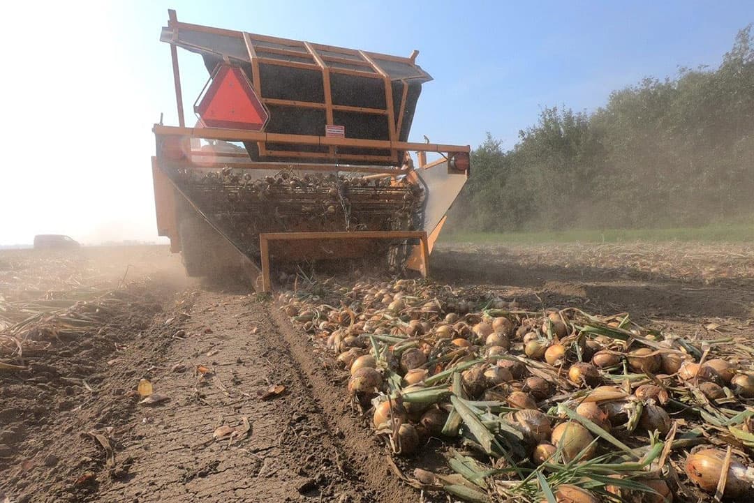 Het perceel loopt over de volle breedte uit op een punt en er is de nodige draairuimte nodig om er weer voor de volgende werkgang te komen.