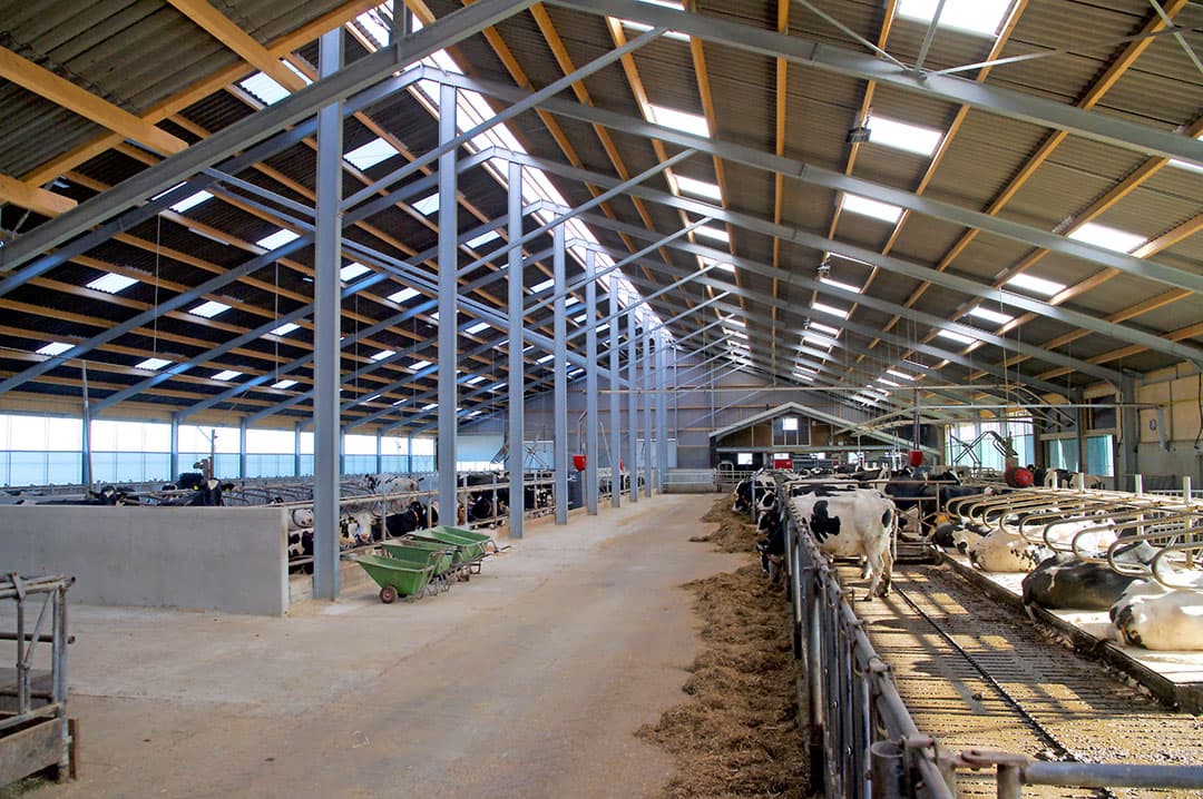 Foto: Frank Uijlenbroek