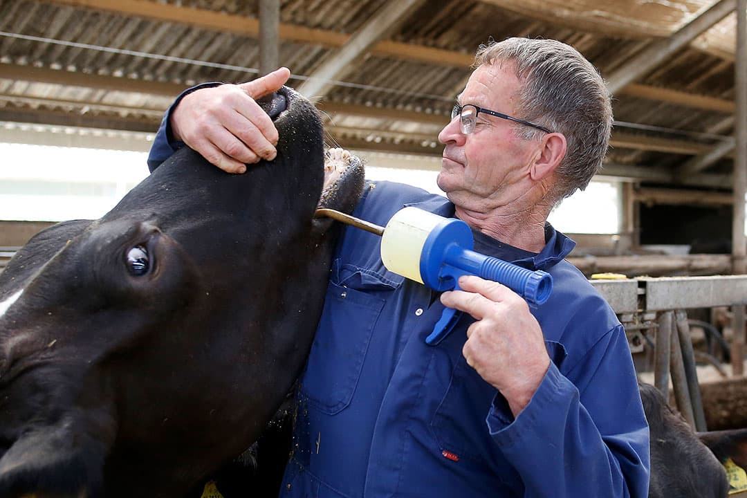 Noud Versteijnen - Foto s: Ton Kastermans
