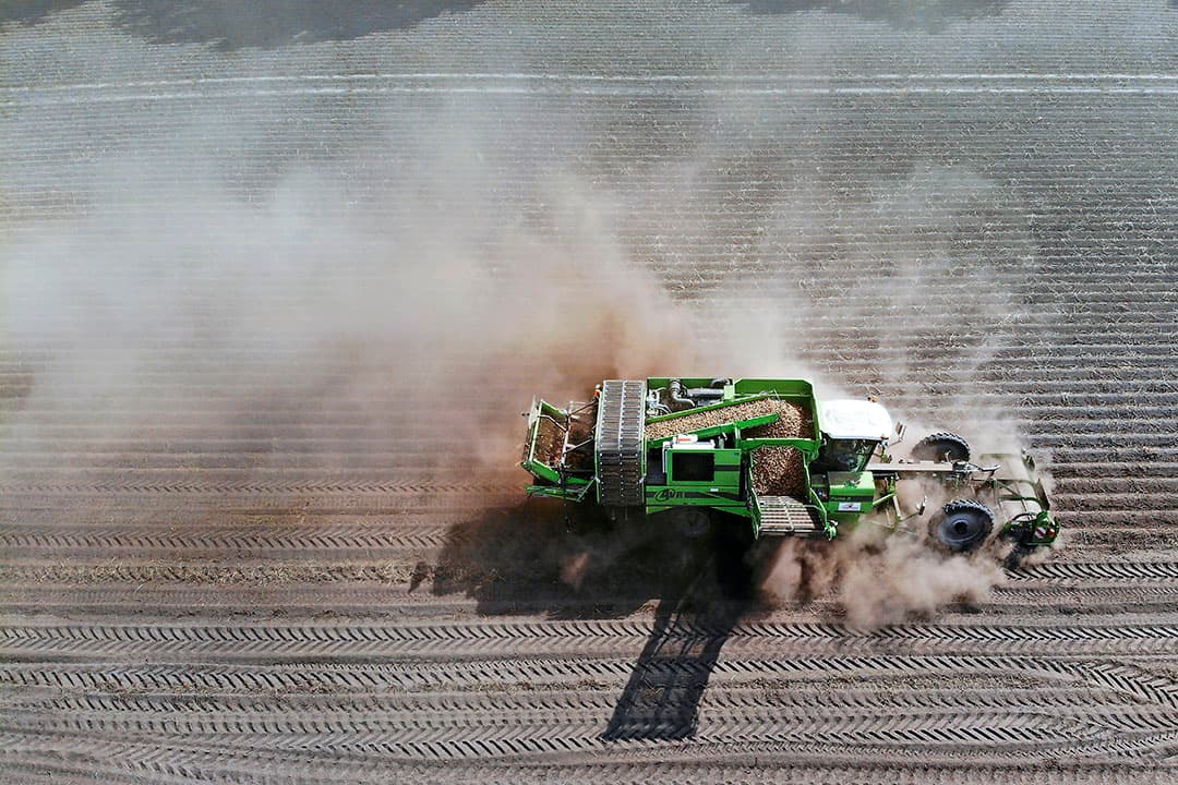 Foto: Hans Prinsen