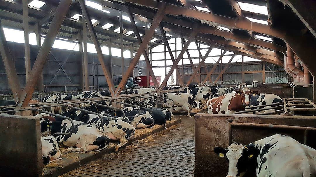 Foto: Nord Agrar Wirtschaftsdienste
