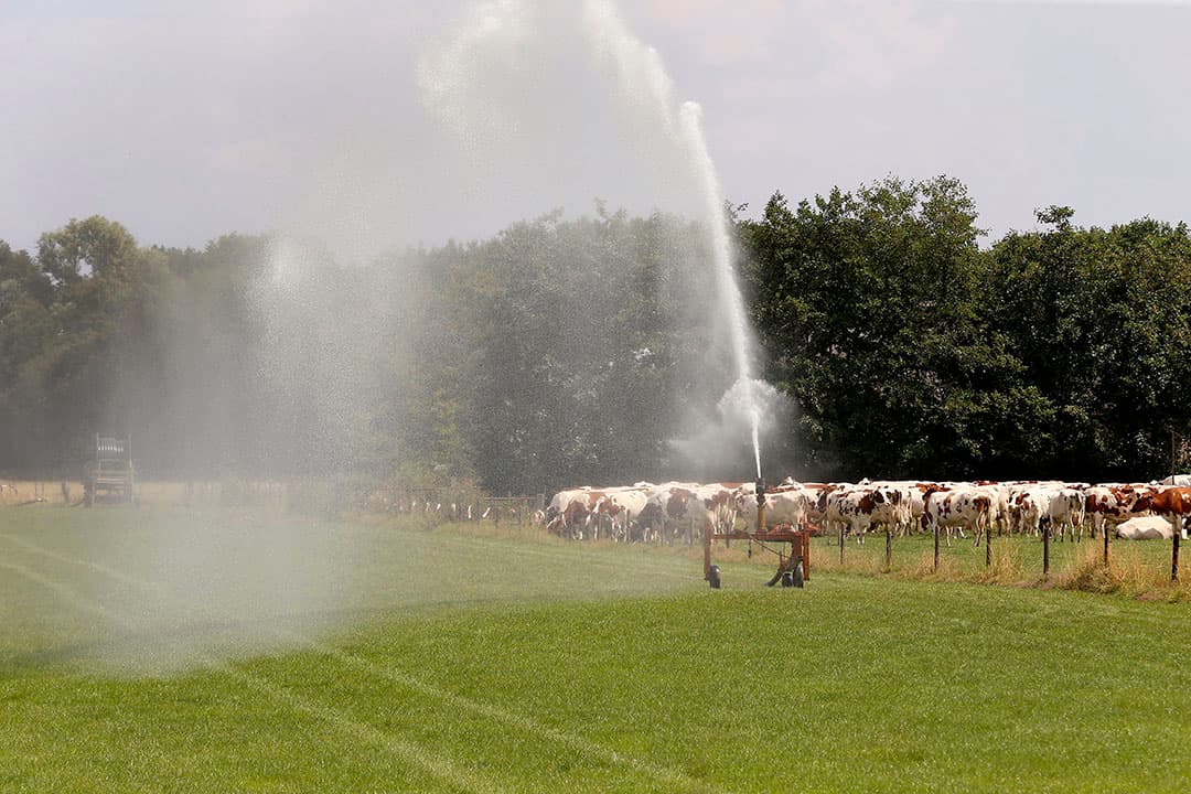 Foto: Hans Prinsen