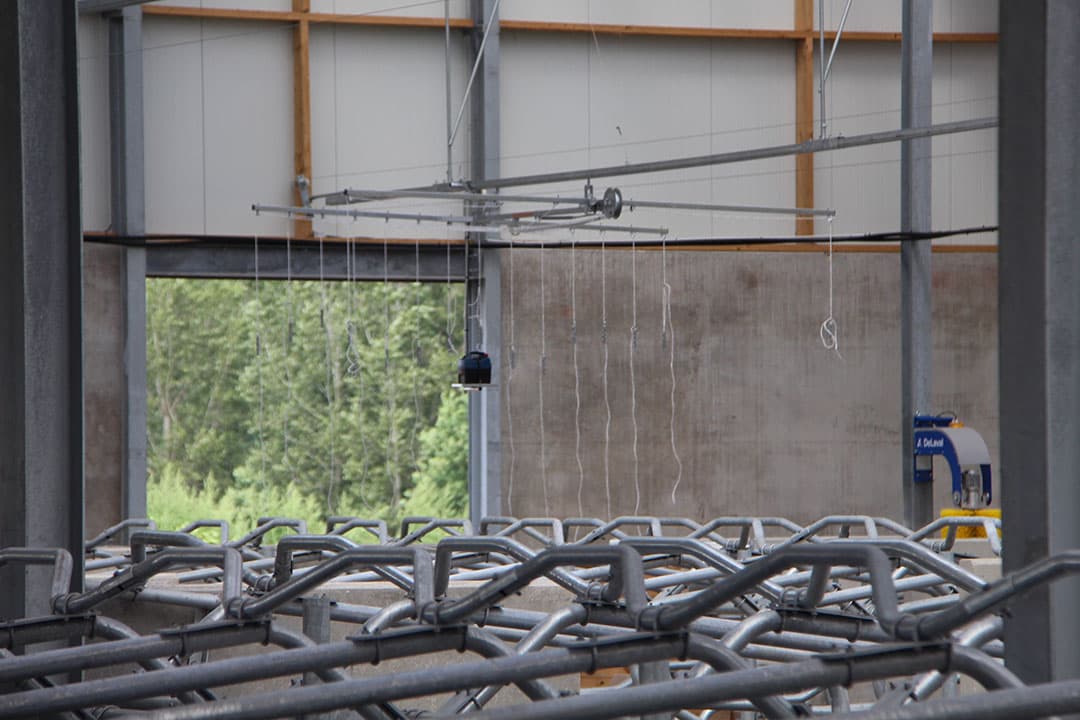 Noyens koos voor een emissiearme vloer van Anders Beton. Een must. Een voorwaarde in de vergunning is dat de maatschap moet zorgen voor een ammoniakreductie van 43%. Oorzaak: het bedrijf ligt nabij een natuurgebied. Er is voor ruim 60 koeien aan dierrechten aangekocht, tegen ¬ 445 er koe. "Dat is zeker zonde geld, maar in vergelijking met de Nederlandse fosfaatrechten slechts een fractie , stelt Jef.