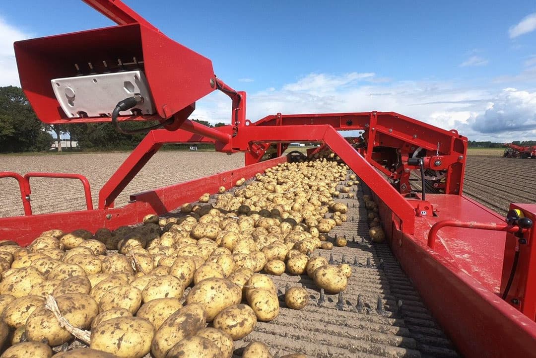 De opvang voor de bovenmaat. De aardappelen worden hieruit in kisten afgetapt.
