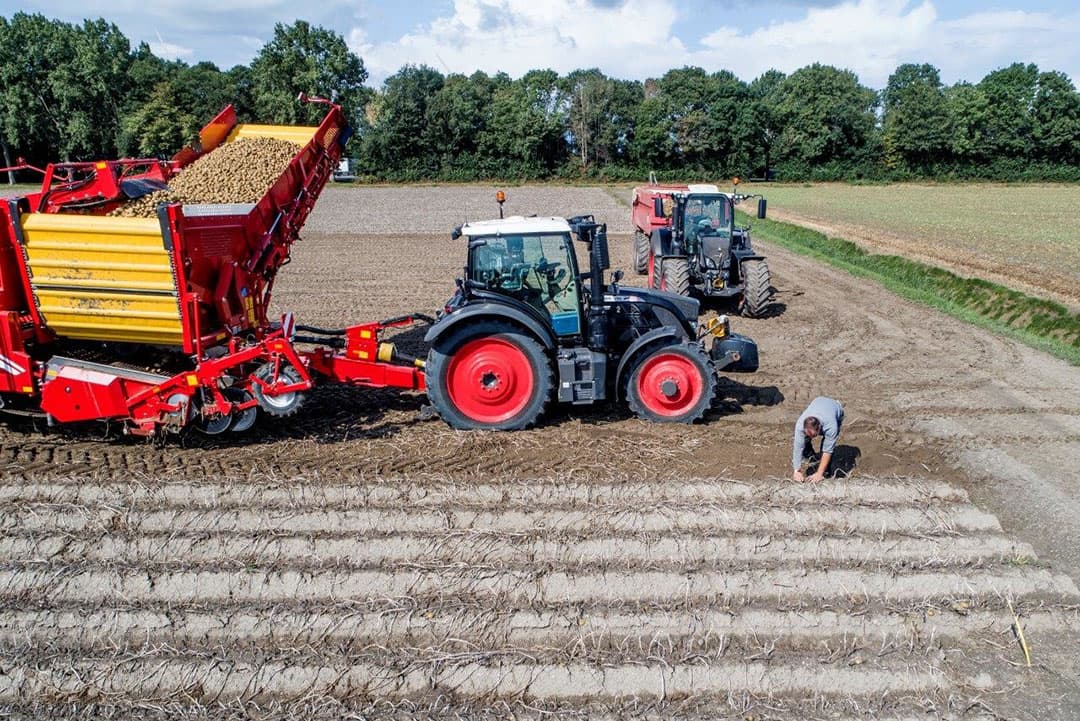 In de bewaring komen twee lange rijen kisten zeshoog naast elkaar. Om te ventileren wordt de ruimte tussen de kisten aan de bovenkant en voorkant afgesloten.