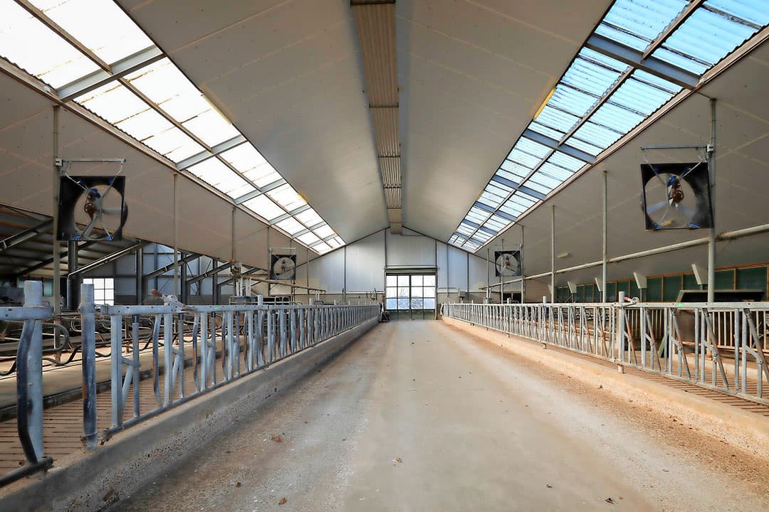 Pal naast de ligboxenstal is in 2010 deze droge koeienstal gebouwd. Zonder tussenwand, zoals hier is te zien. Deze stal bestaat uit een strogedeelte en 22 boxen.