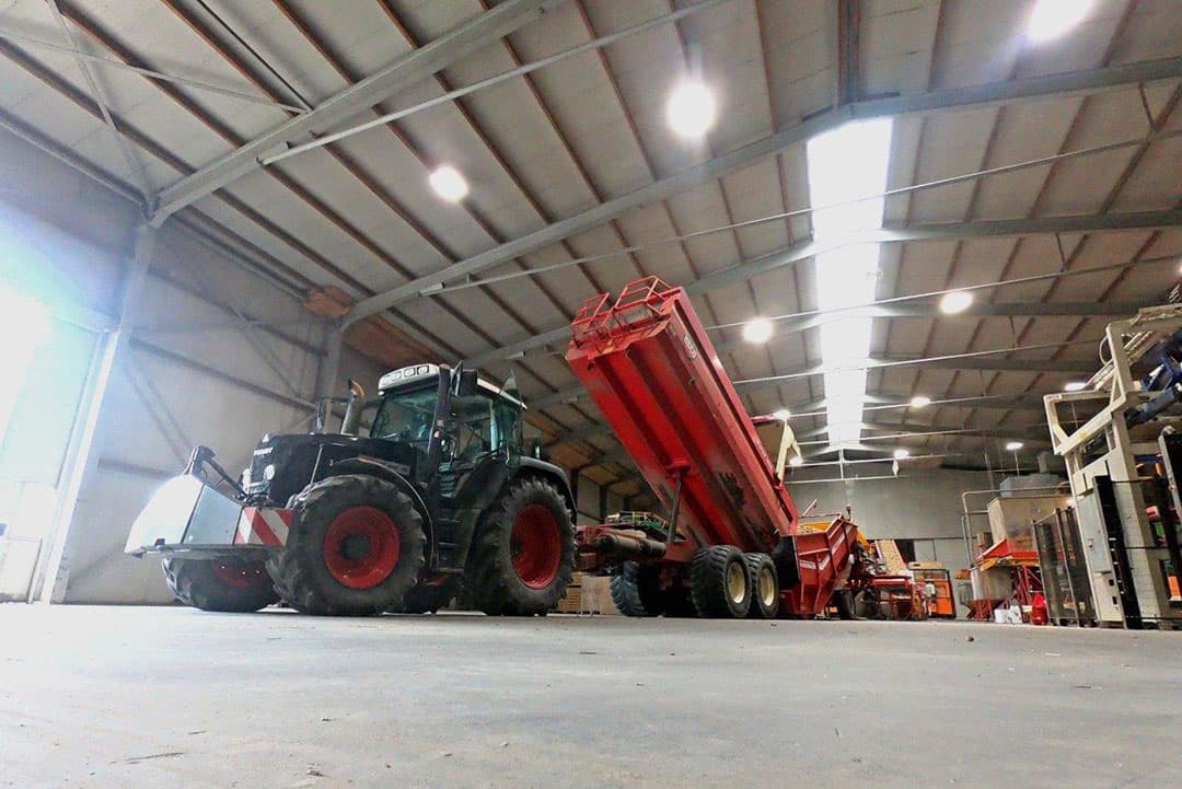 Nabij de Ketelbrug is Landbouwbedrijf De Rijke uit Nagele begonnen met het rooien van 15 hectare Innovator pootaardappelen. De Rijke rooit met een twee-rijige Grimme SV 260-bunkerverstekrooier.