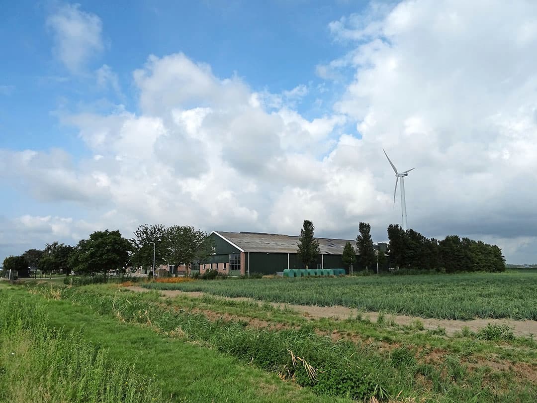 Het bouwblok is 1,68 hectare groot. In het midden van het erf bevindt zich een grote ligboxenstal. Tussen het woonhuis (links) en deze ligboxenstal is in 2010 een droge koeienstal gebouwd. Achter de stallen bevinden zich 6 ruime sleufsilo s.